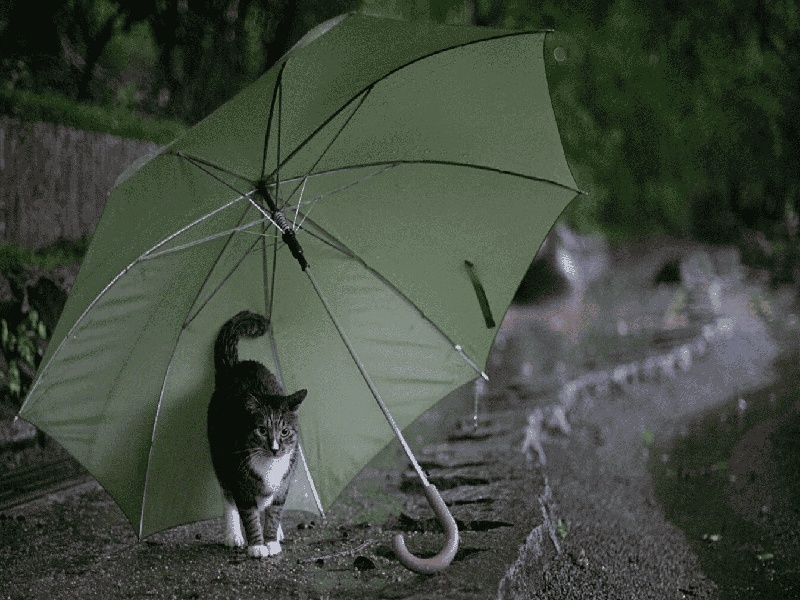 试管医院方案泰国治艾滋病费用高吗试管 2/3 固体